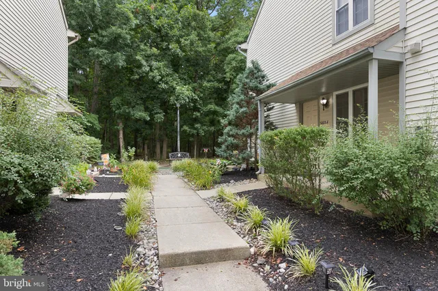 a view of a pathway with a garden