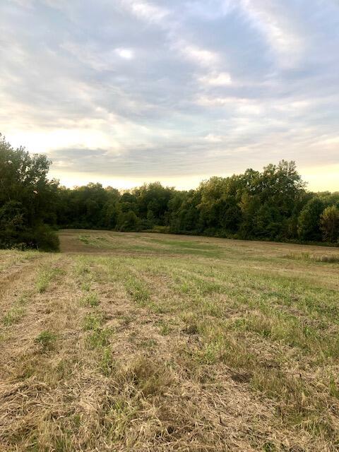 0 Saylor Road Northwest Pickerington, OH 43147 - Photo 9 of 10 Lot 4h