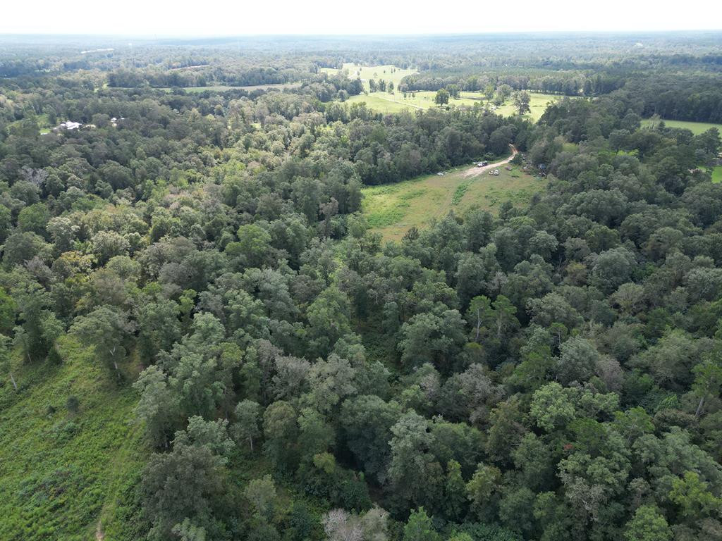 ... Ld White Rd Summit Summit, MS 39666 - Photo 1 of 16 Main View