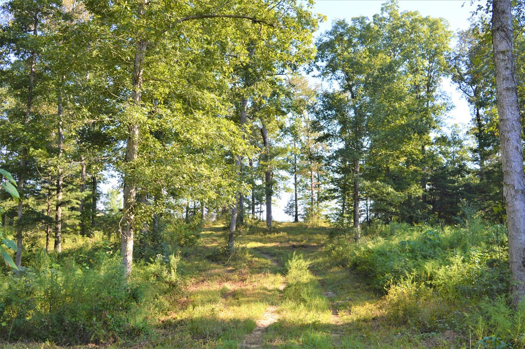 ... Ld White Rd Summit Summit, MS 39666 - Photo 15 of 16 Photo 15