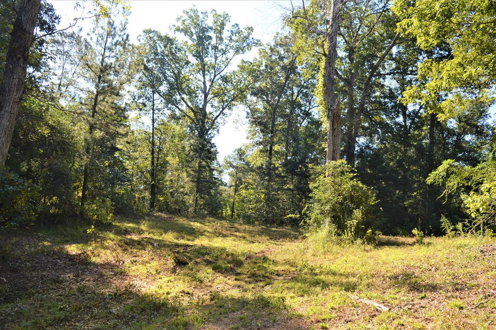 ... Ld White Rd Summit Summit, MS 39666 - Photo 4 of 16 Photo 4