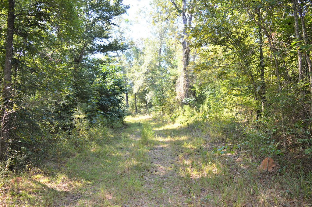 ... Ld White Rd Summit Summit, MS 39666 - Photo 7 of 16 Photo 7