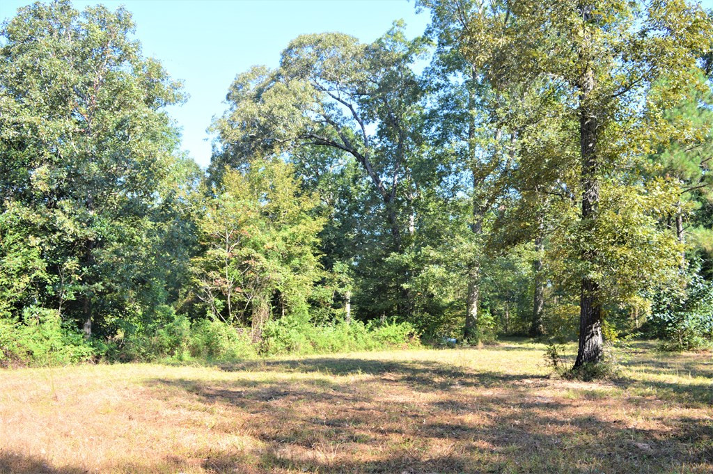 ... Ld White Rd Summit Summit, MS 39666 - Photo 10 of 16 Photo 10