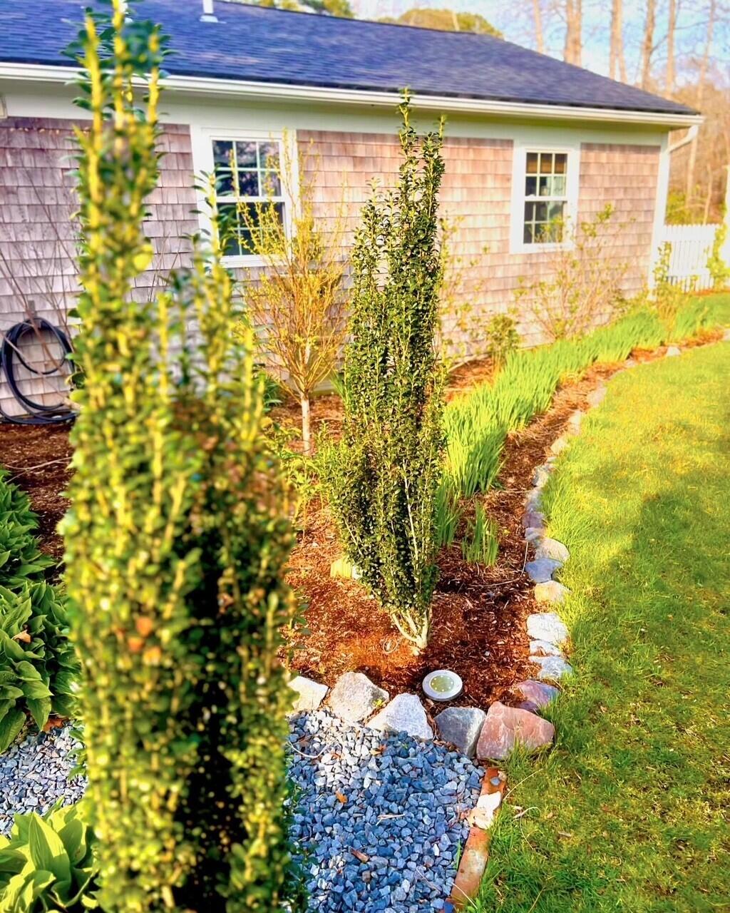 25 Frances Helen Road Yarmouth Port, MA 02675 - Photo 40 of 52 backyard6