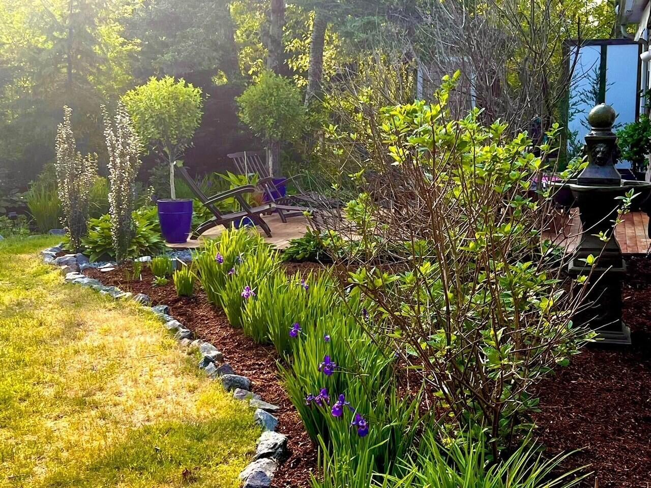 25 Frances Helen Road Yarmouth Port, MA 02675 - Photo 41 of 52 backyard3