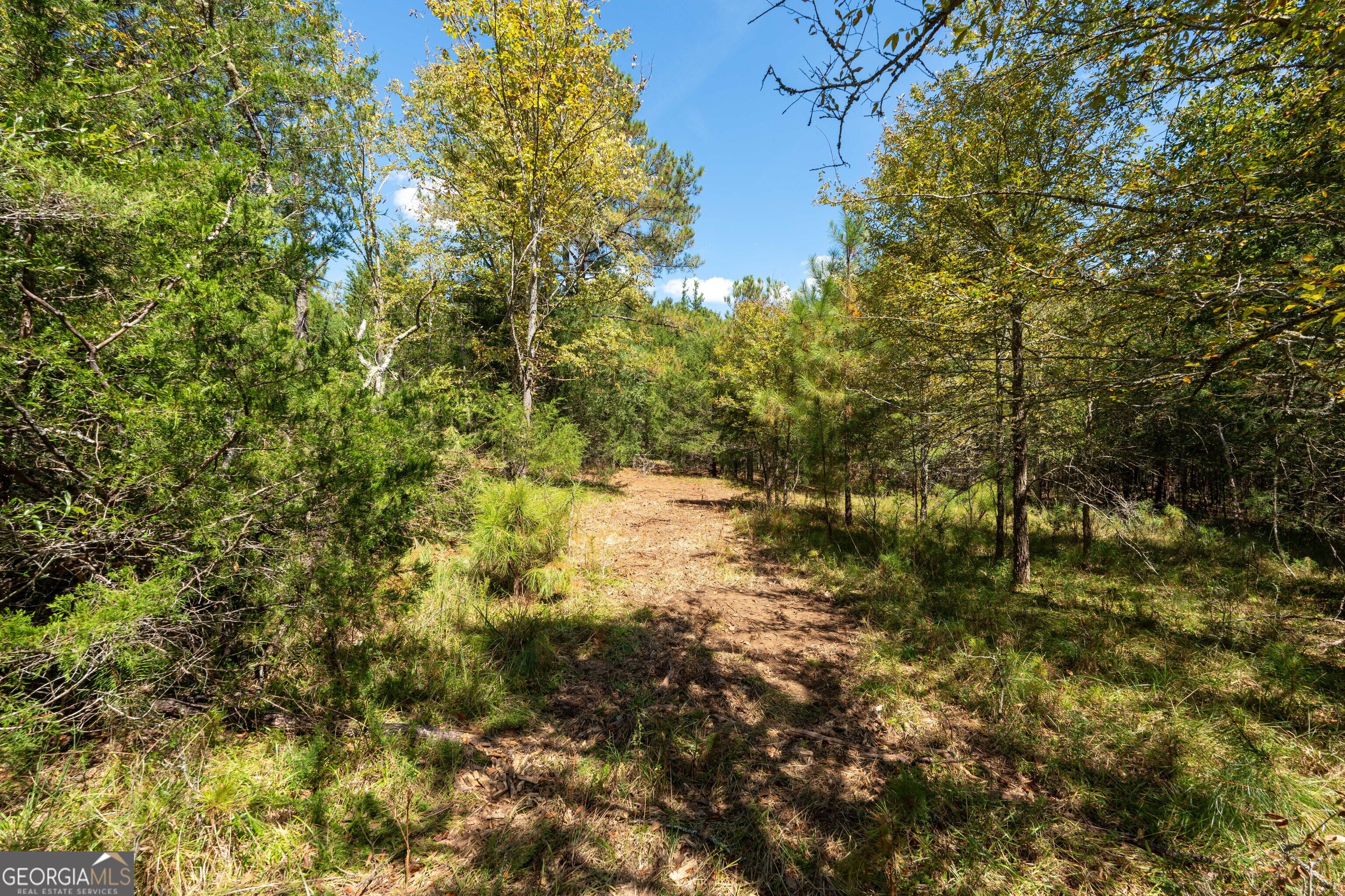 1419 Bobby Brown State Park Road Elberton, GA 30635 - Photo 83 of 90 Gallery Image 83