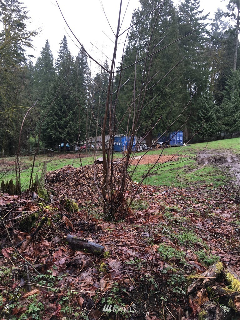 19425 Southeast 128th Street Renton, WA 98059 - Photo 4 of 4