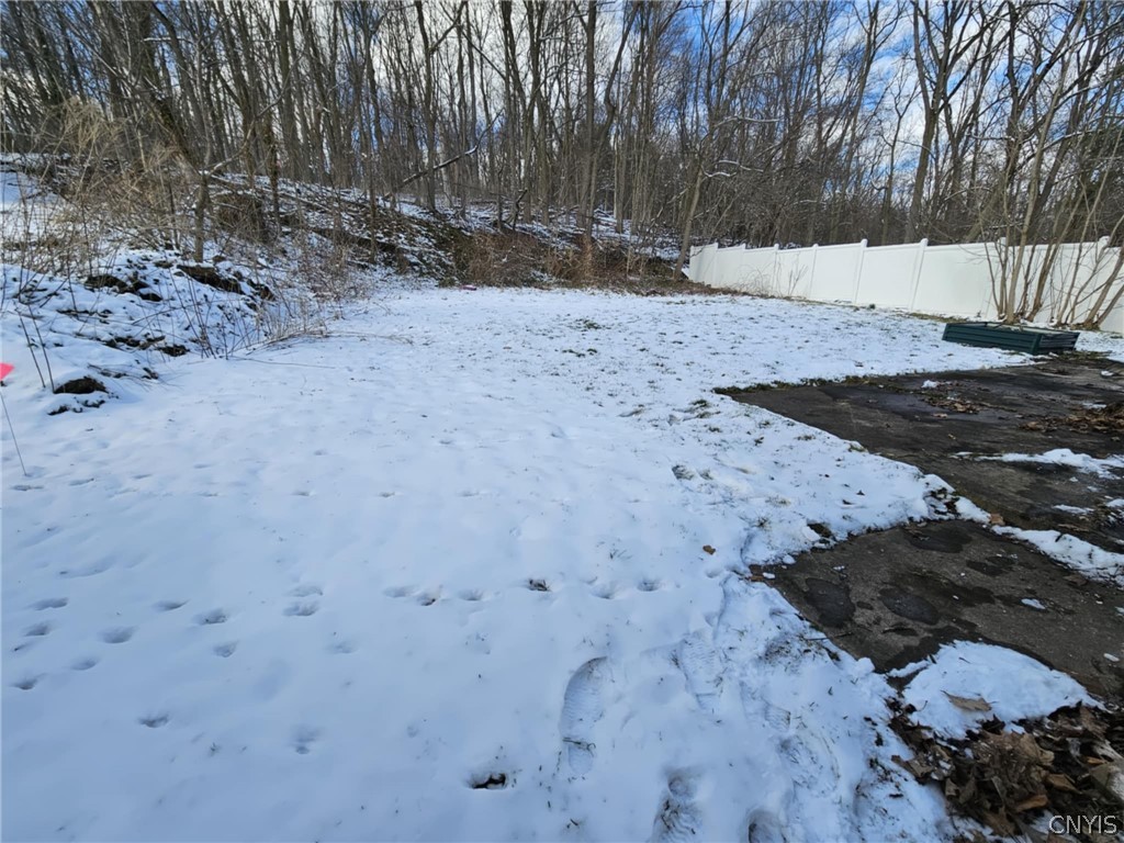 29 Butternut Street Lyons, NY 14489 - Photo 15 of 37 Back yard.