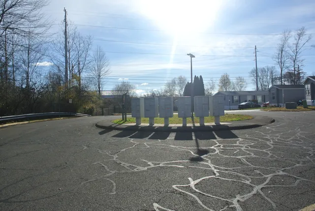 a view of a tennis ground with large trees