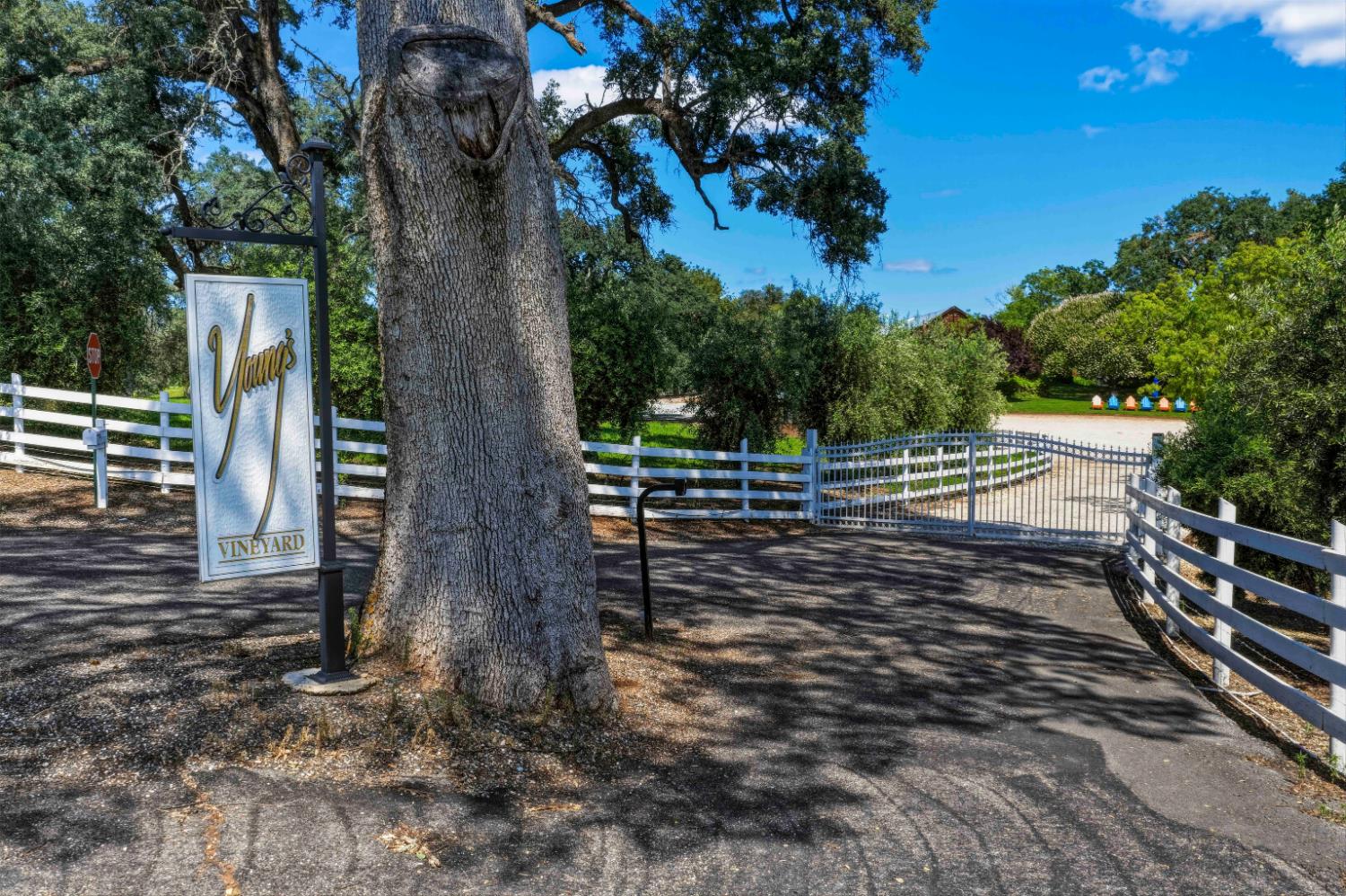 10120 Shenandoah Road Plymouth, CA 95669 - Photo 12 of 86