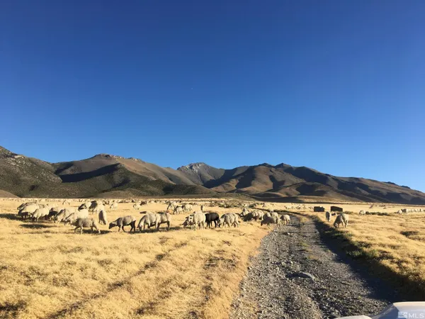 a view of ocean with green space