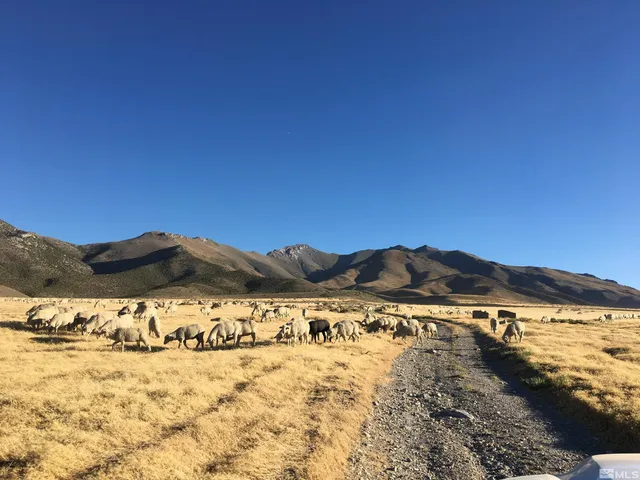 a view of ocean with green space