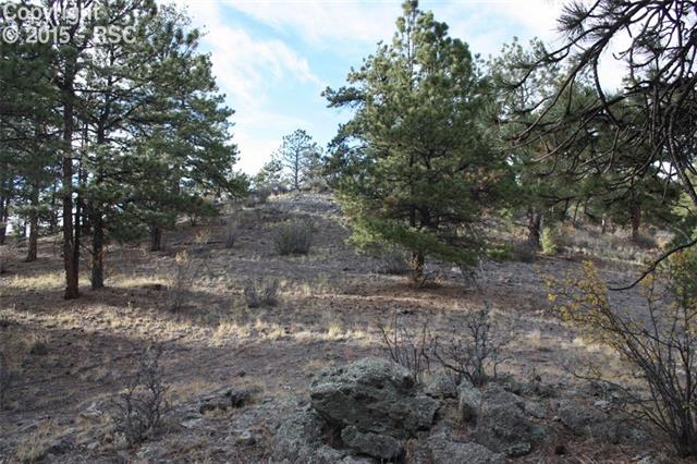 501 Stagecoach Road Guffey, CO 80820 - Photo 8 of 20 Gallery Image 8
