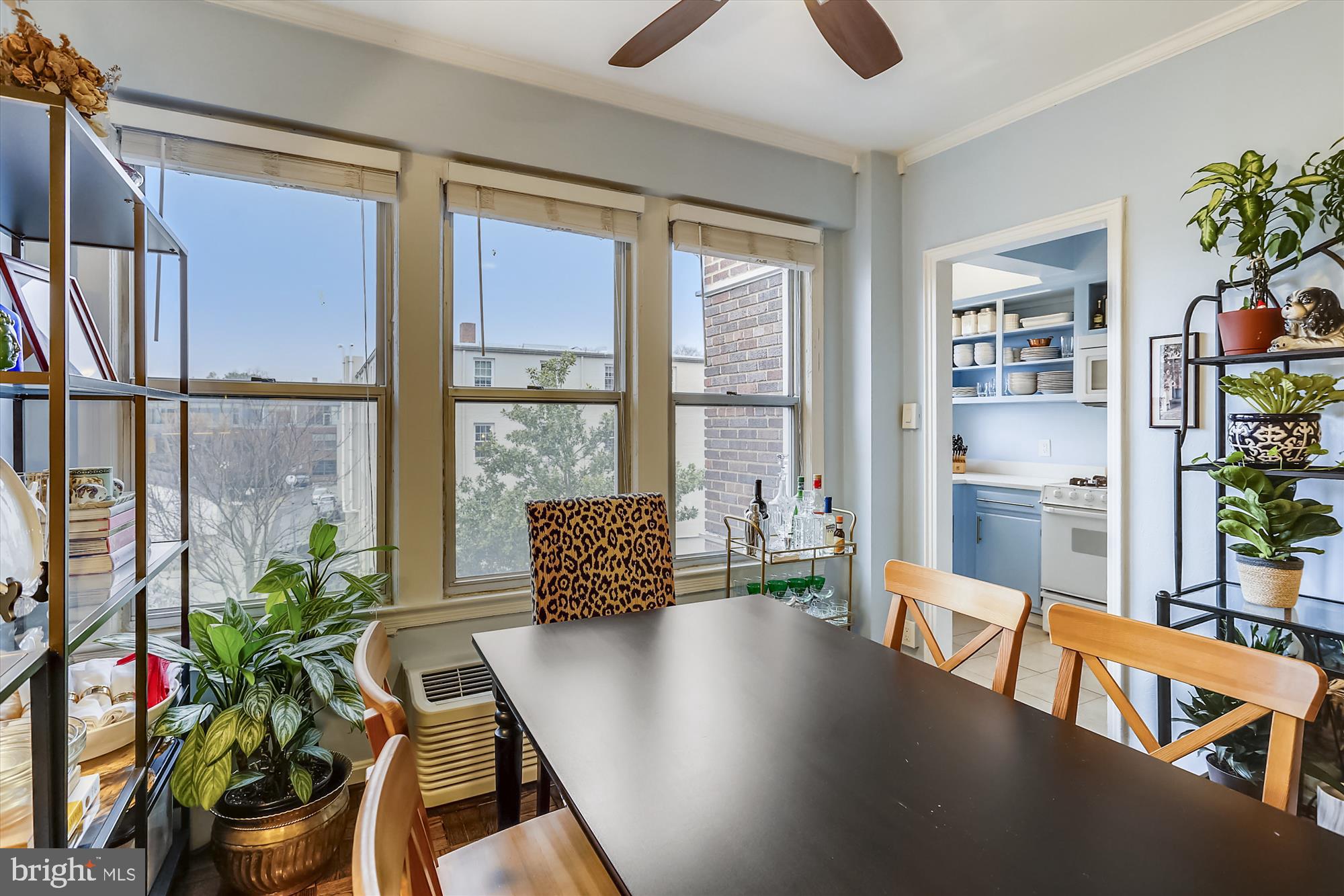 2500 Q Street Northwest, Unit 538 Washington, DC 20007 - Photo 2 of 59