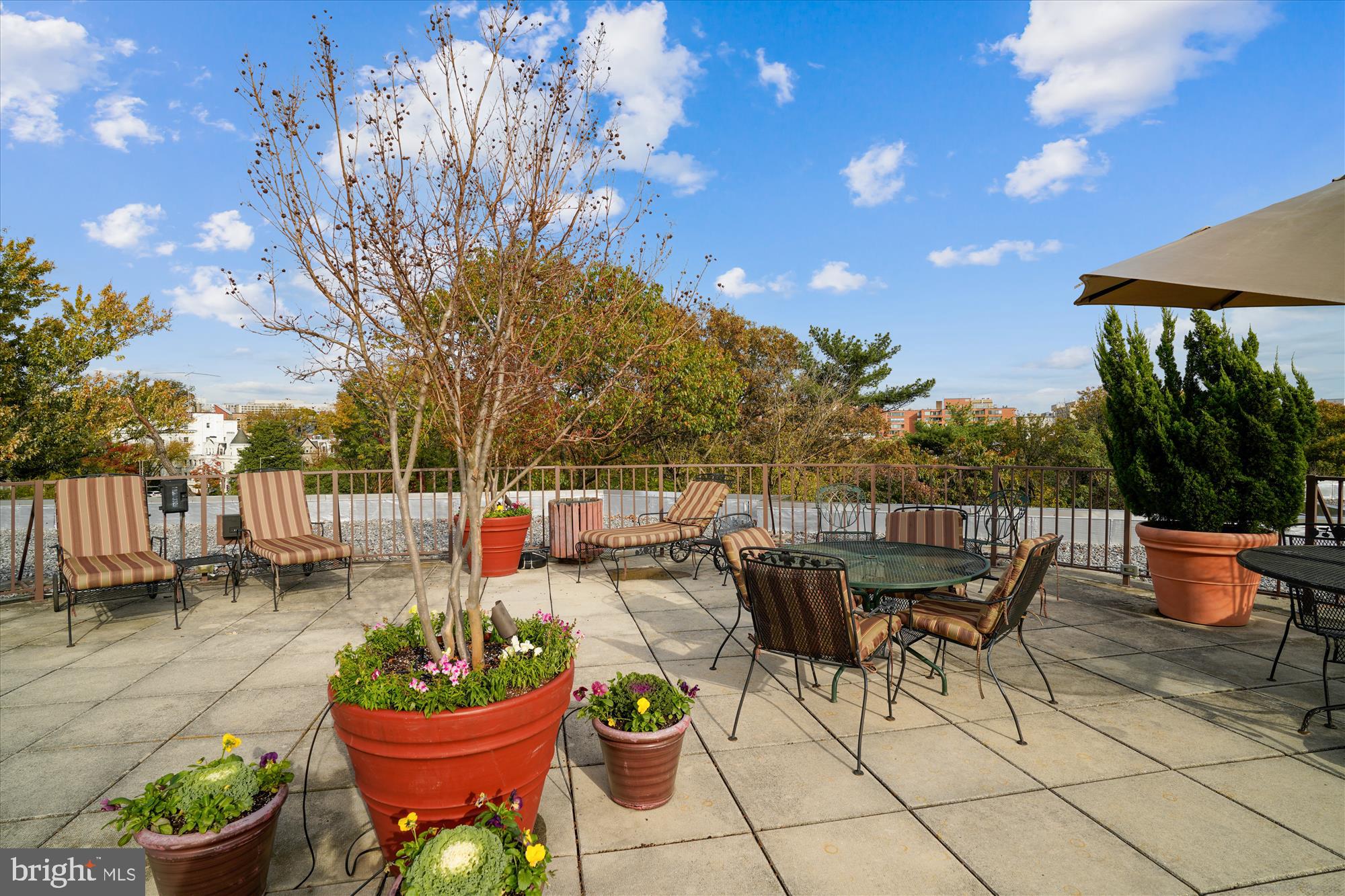 2500 Q Street Northwest, Unit 538 Washington, DC 20007 - Photo 31 of 59