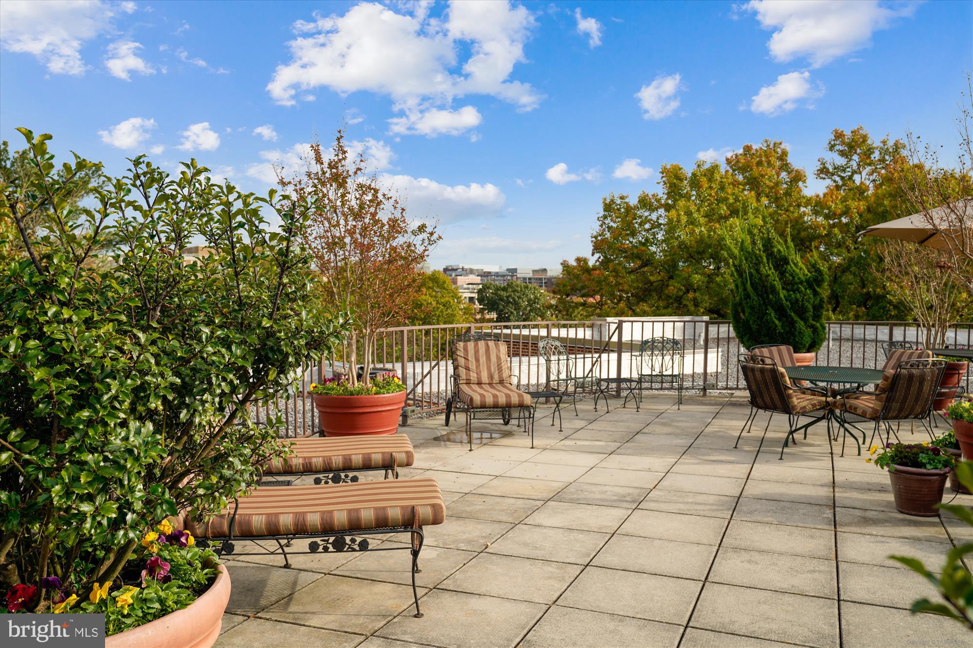 2500 Q Street Northwest, Unit 538 Washington, DC 20007 - Photo 32 of 59