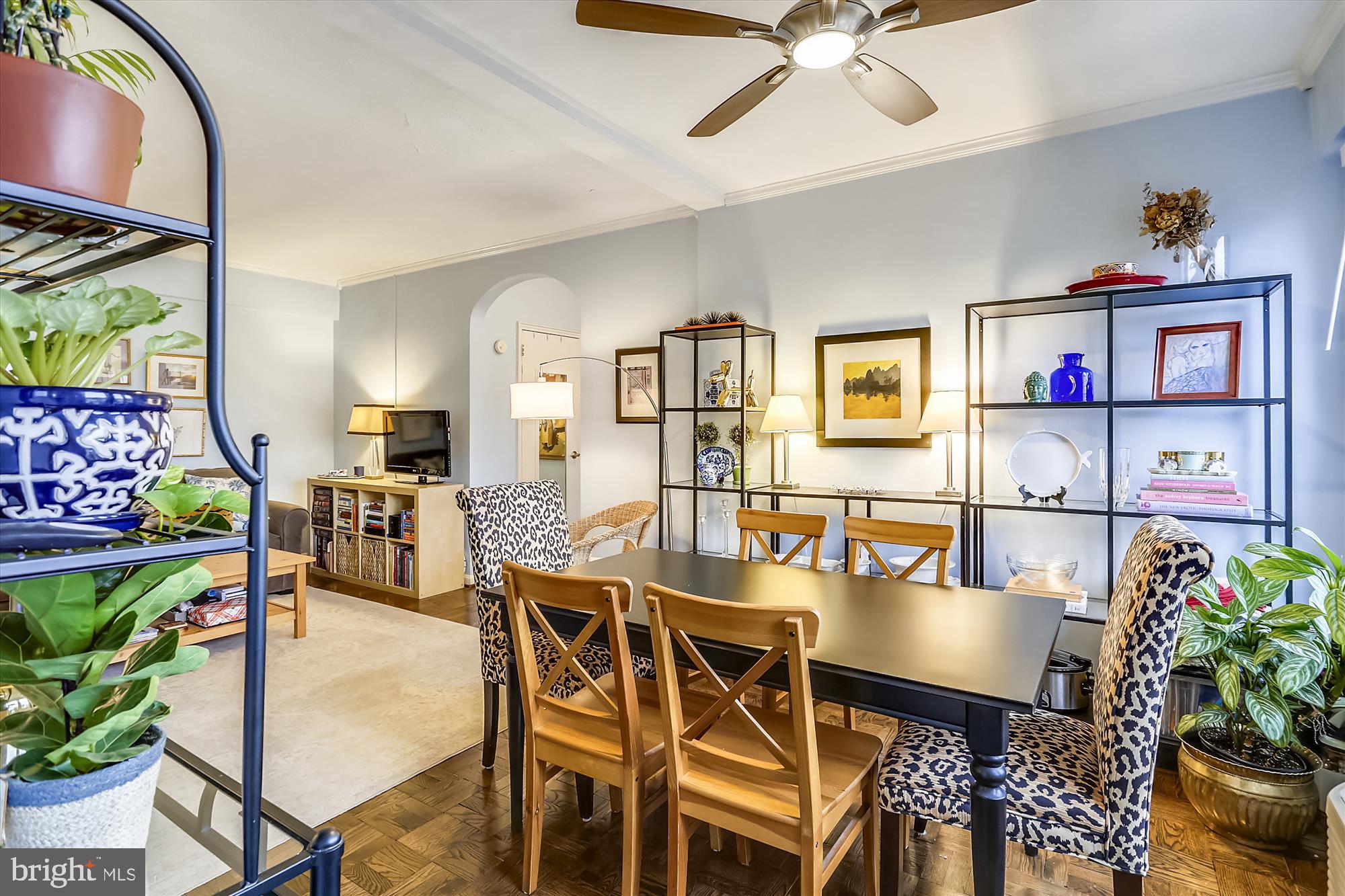 2500 Q Street Northwest, Unit 538 Washington, DC 20007 - Photo 5 of 59