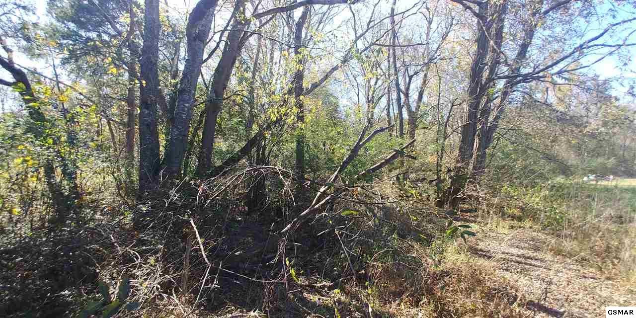 2025 Hartford Road Cosby, TN 37722 - Photo 2 of 2 Gallery Image 2