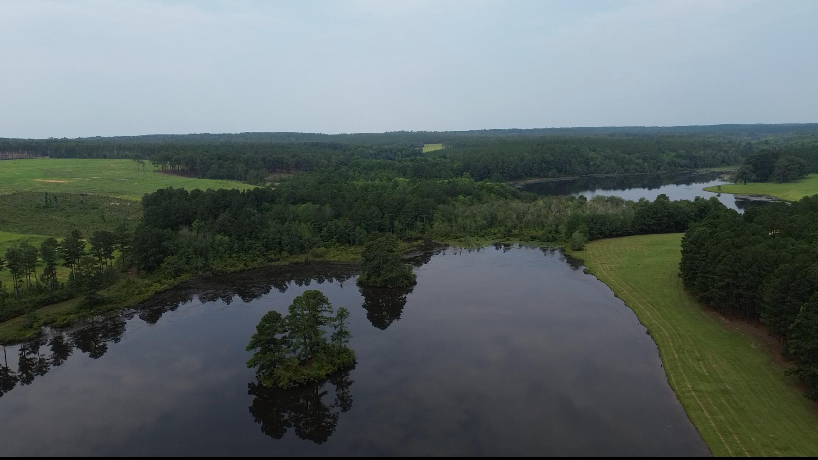 50 Laughlin Loop Aiken, SC 29805 - Photo 3 of 8