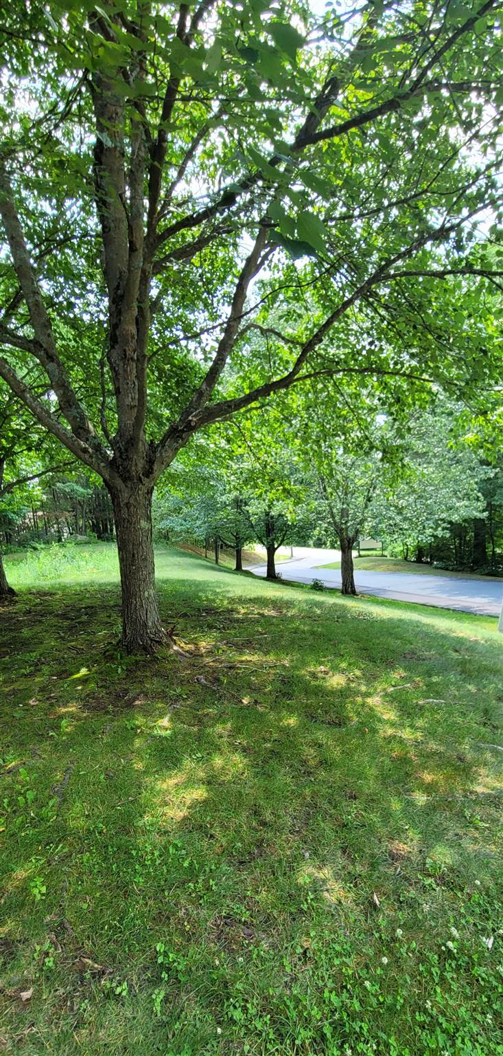 30 Wolf Road, Unit 104 Lebanon, NH 03766 - Photo 7 of 8 Gallery Image 7