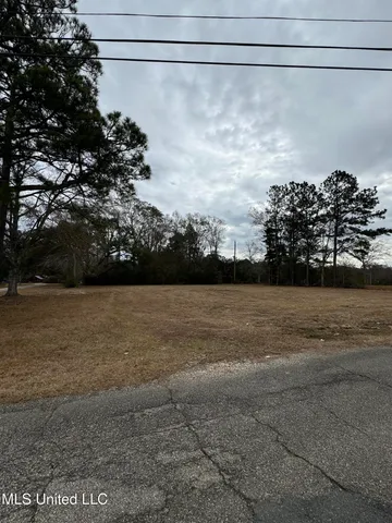 $100,000 | George Mitchell Road, Carriere, MS 39426