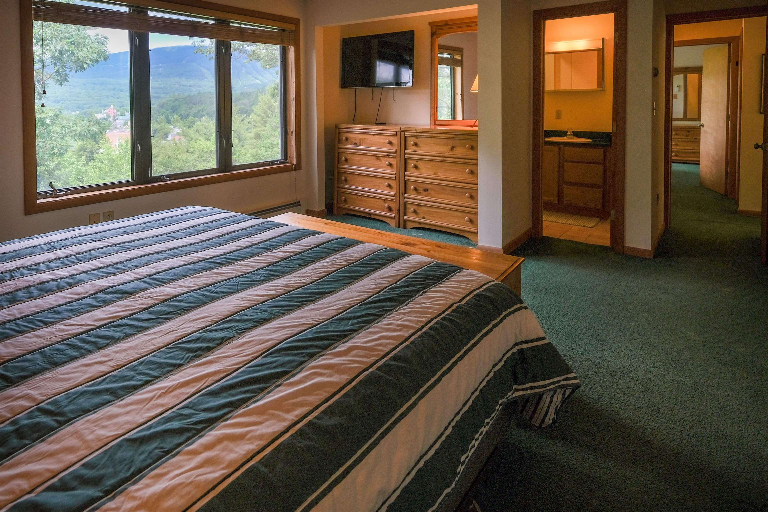 119 Pine Hill Road Ludlow, VT 05149 - Photo 27 of 54