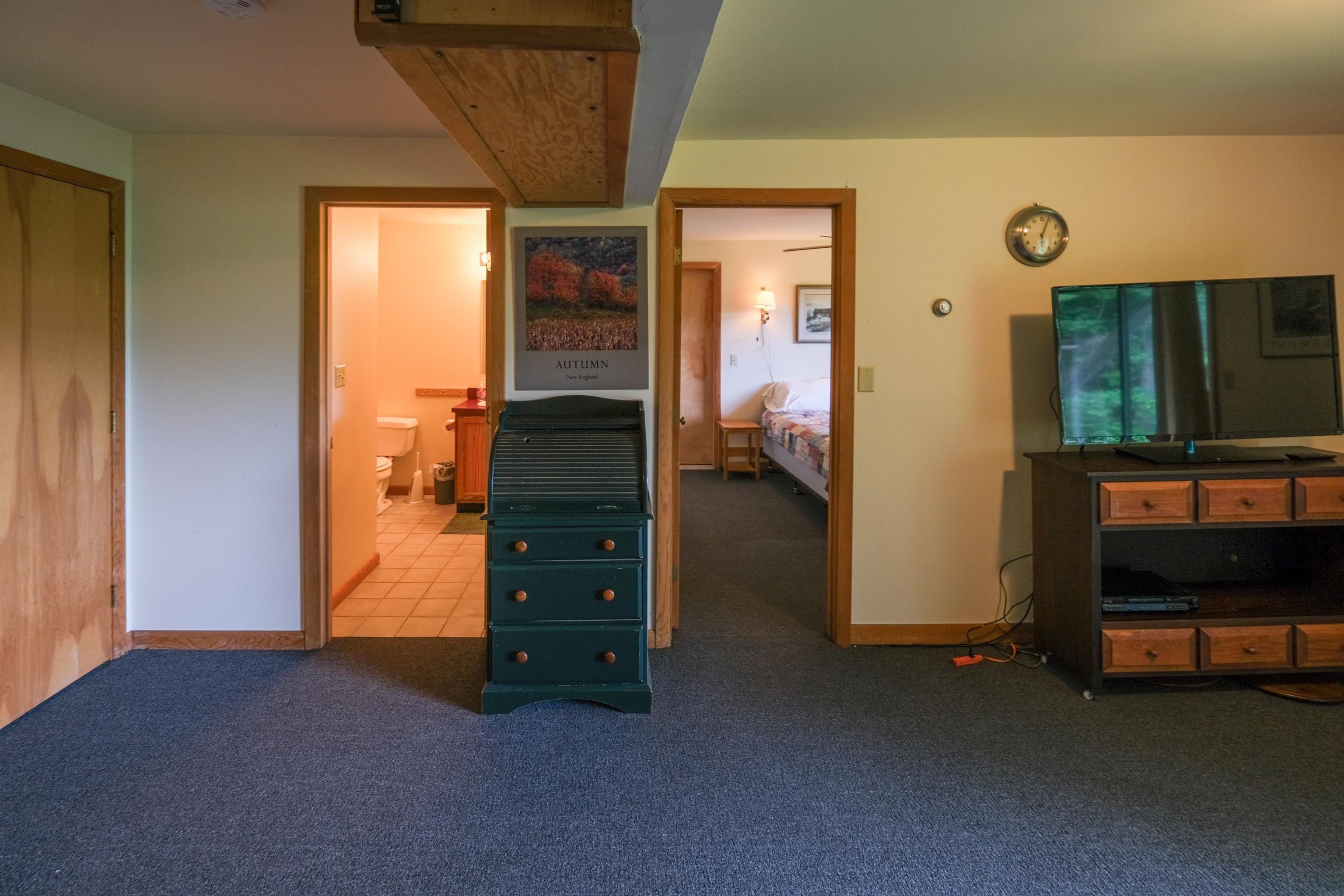 119 Pine Hill Road Ludlow, VT 05149 - Photo 40 of 54