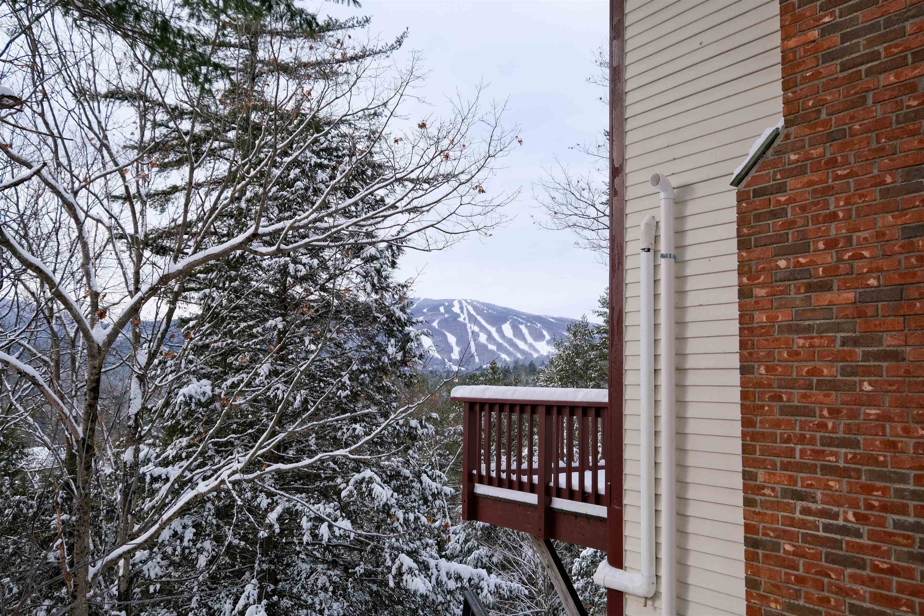 119 Pine Hill Road Ludlow, VT 05149 - Photo 54 of 54