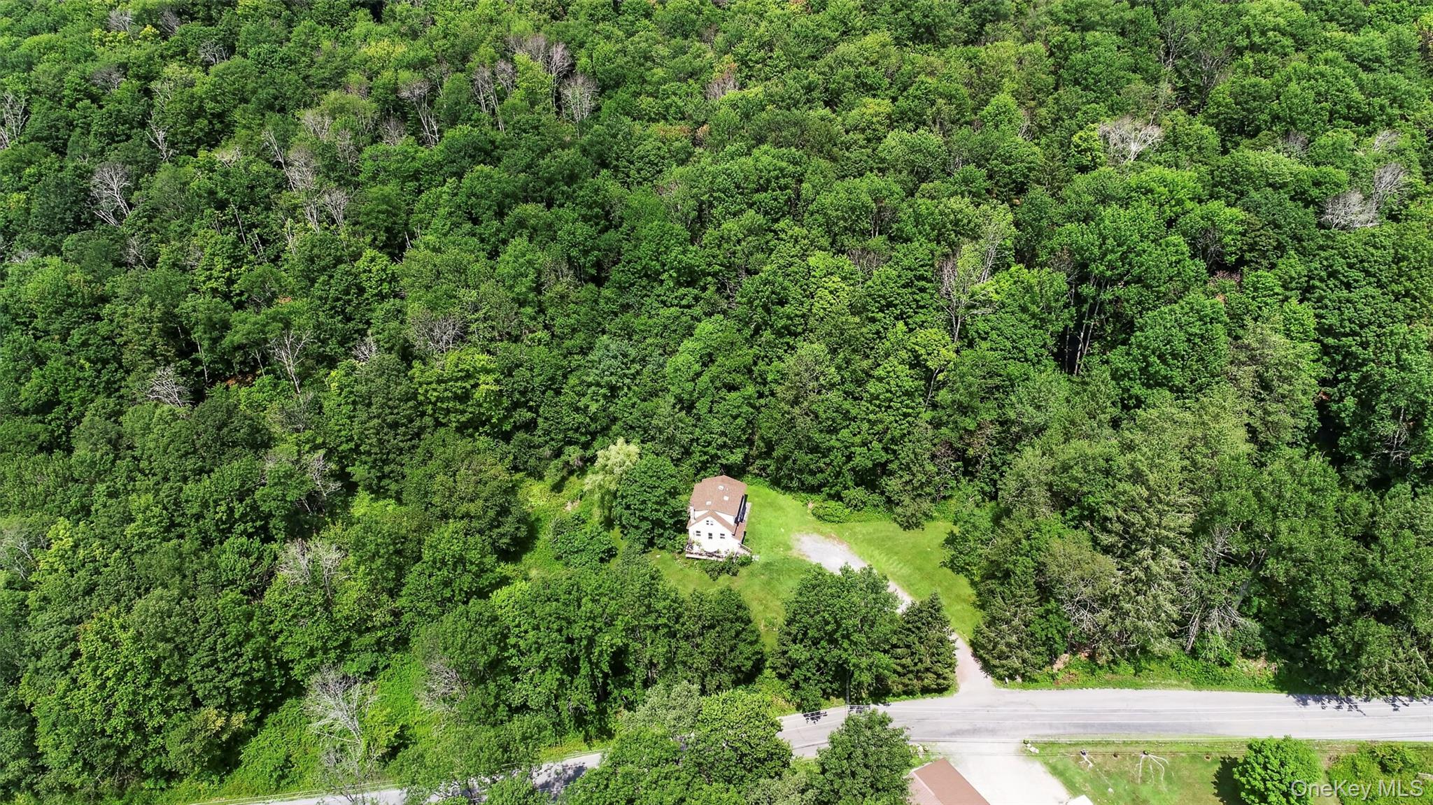 Tdb White Roe Lake Road Livingston Manor, NY 12758 - Photo 3 of 7 Gallery Image 3