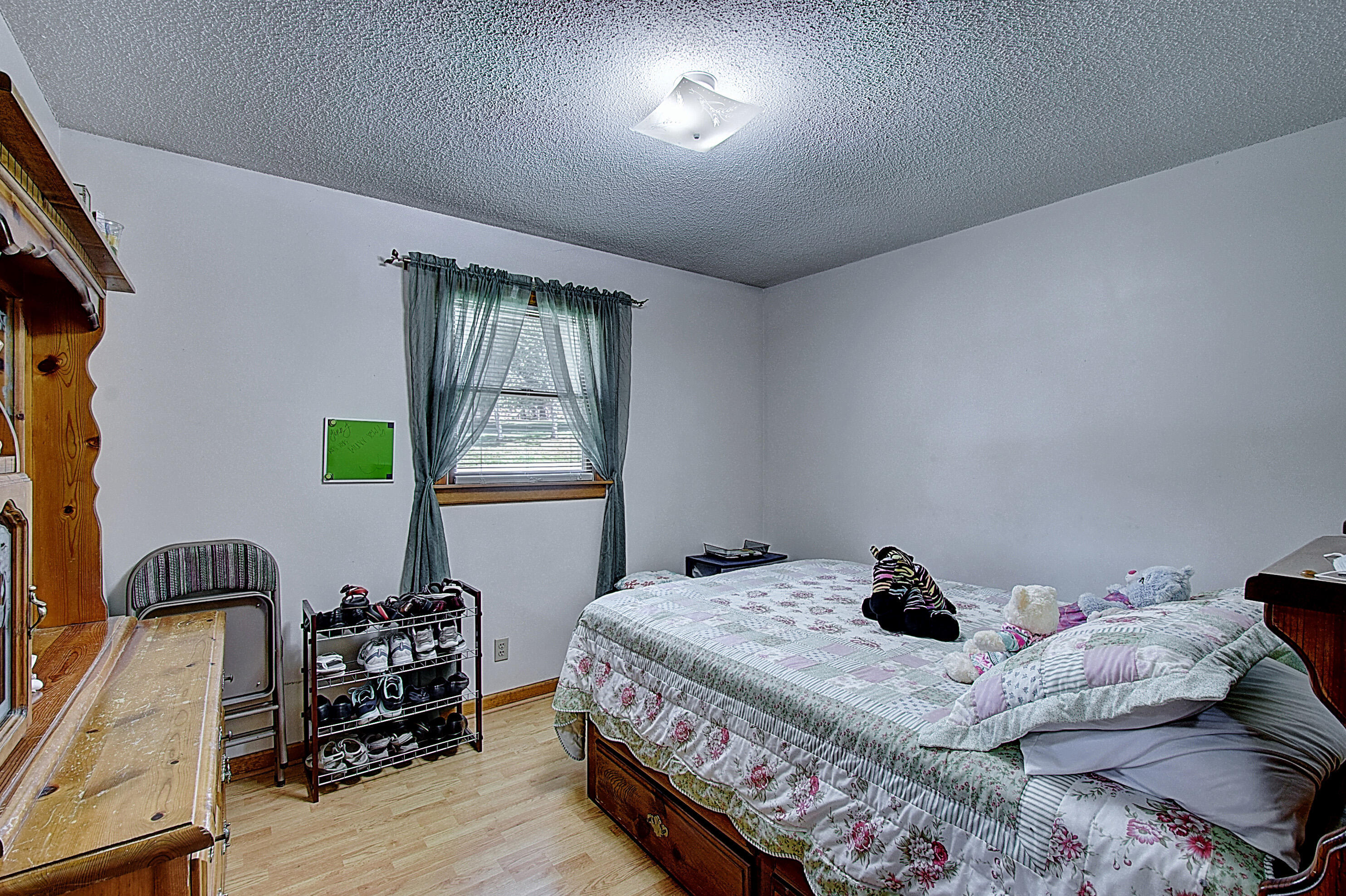 2117 Spring Street Gray, TN 37615 - Photo 21 of 38 DSC_0154And8more