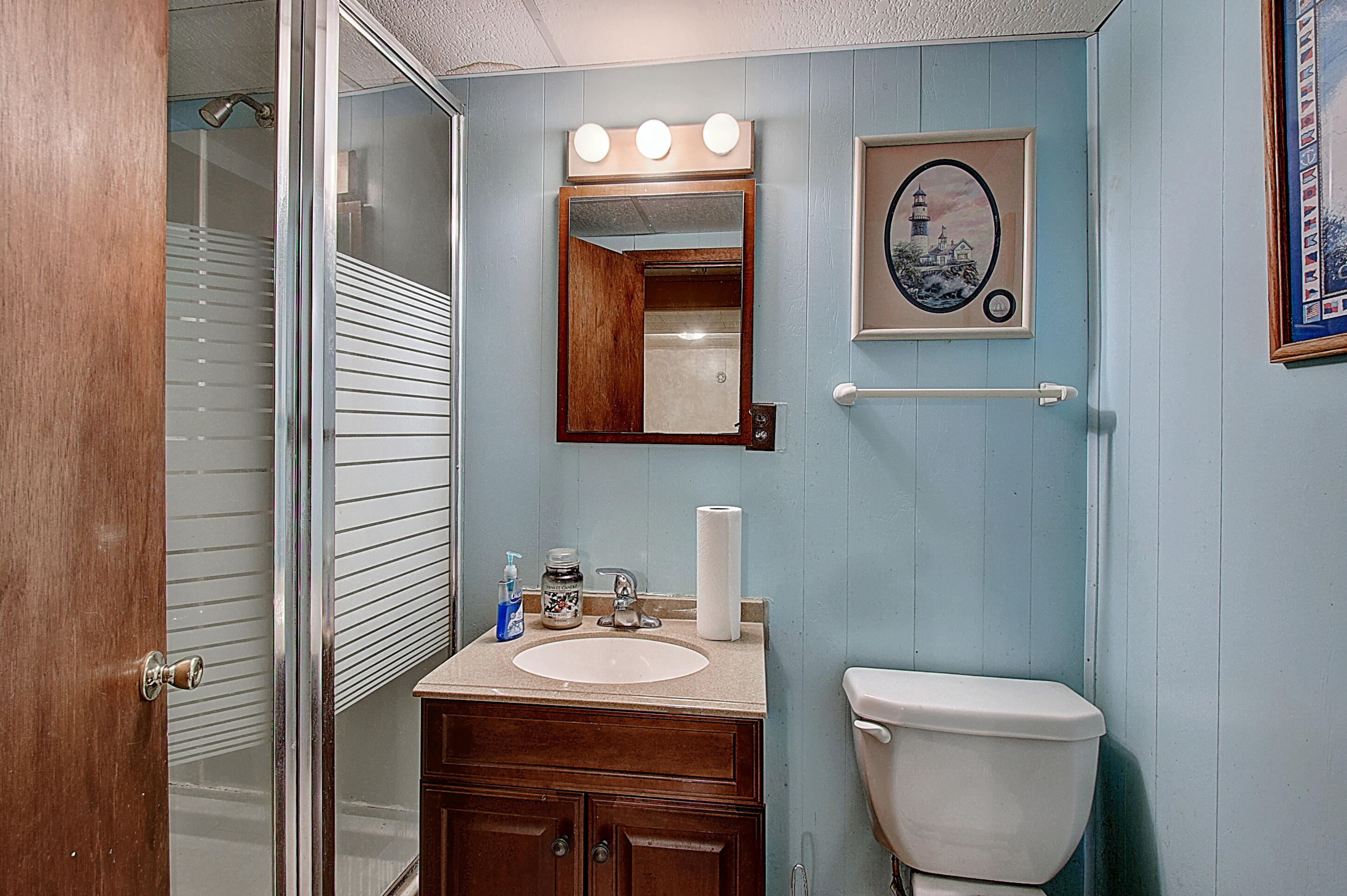 2117 Spring Street Gray, TN 37615 - Photo 30 of 38 DSC_0232And8more