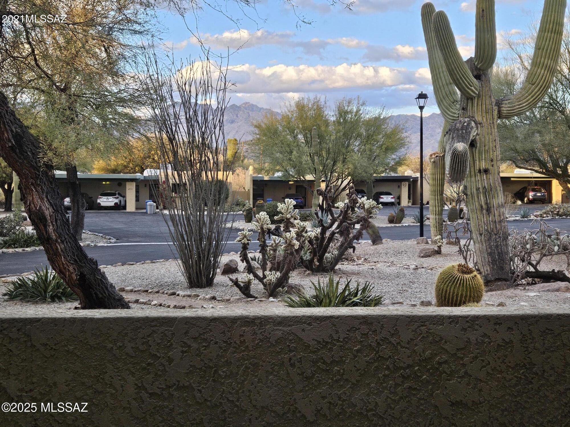 6932 East Rivercrest Road Tucson, AZ 85750 - Photo 3 of 20
