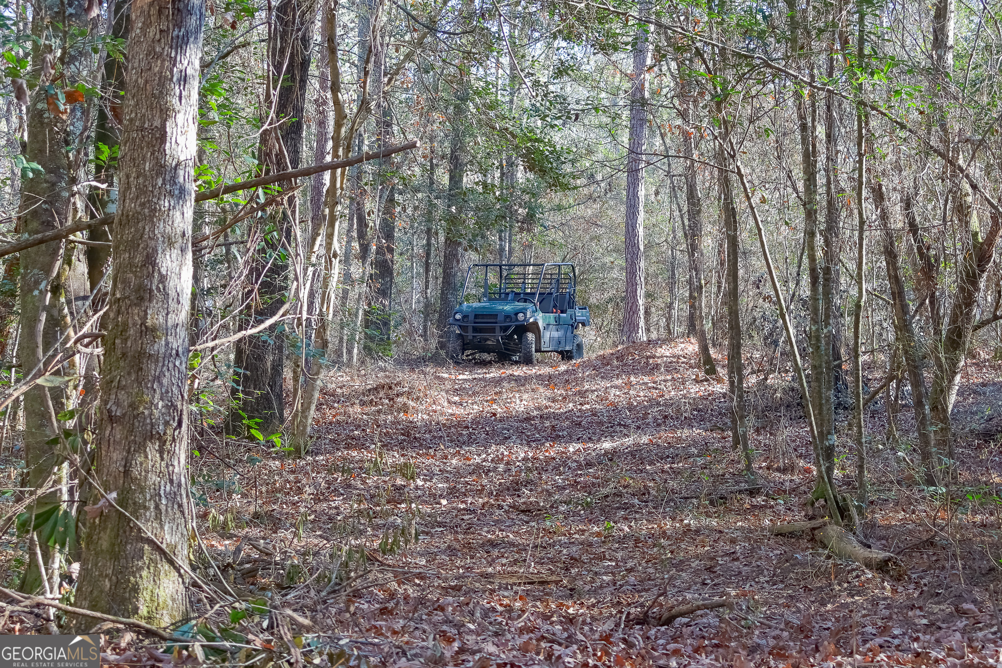 0 Limestone Road Cochran, GA 31014 - Photo 15 of 43