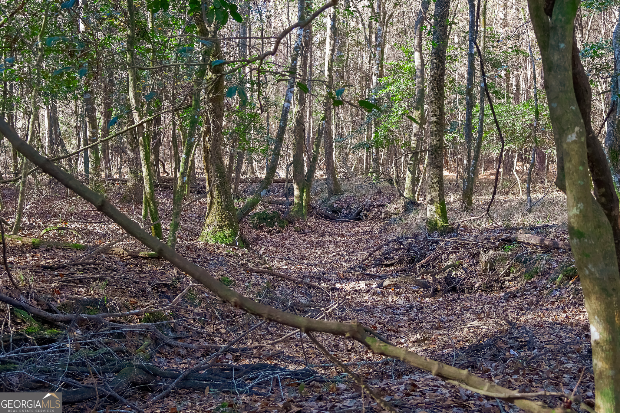 0 Limestone Road Cochran, GA 31014 - Photo 19 of 43 a backyard of a house with lots of green space