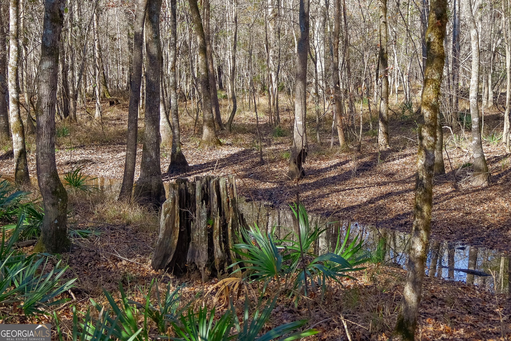 0 Limestone Road Cochran, GA 31014 - Photo 2 of 43 a view of a backyard