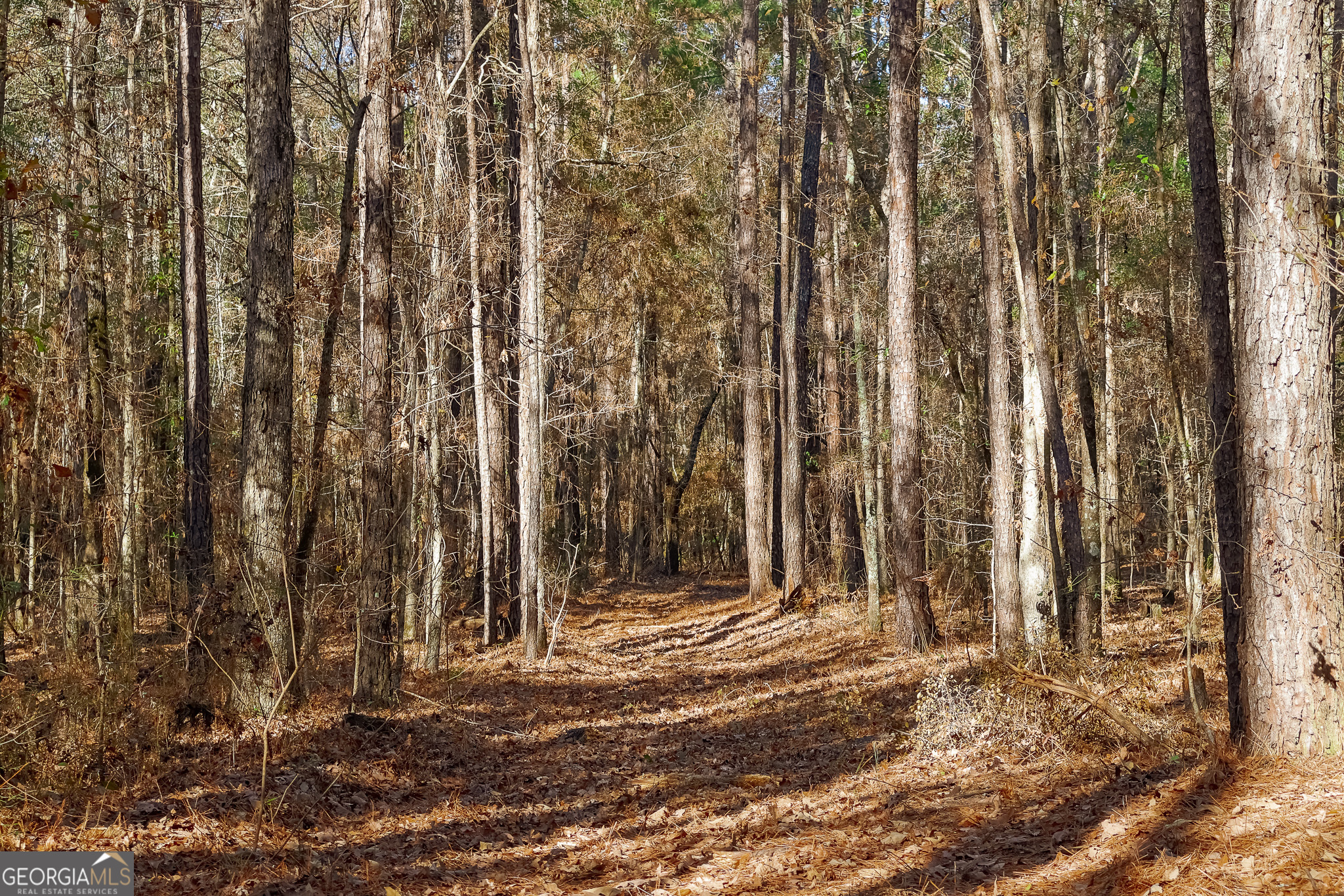 0 Limestone Road Cochran, GA 31014 - Photo 24 of 43 a view of wooden fence