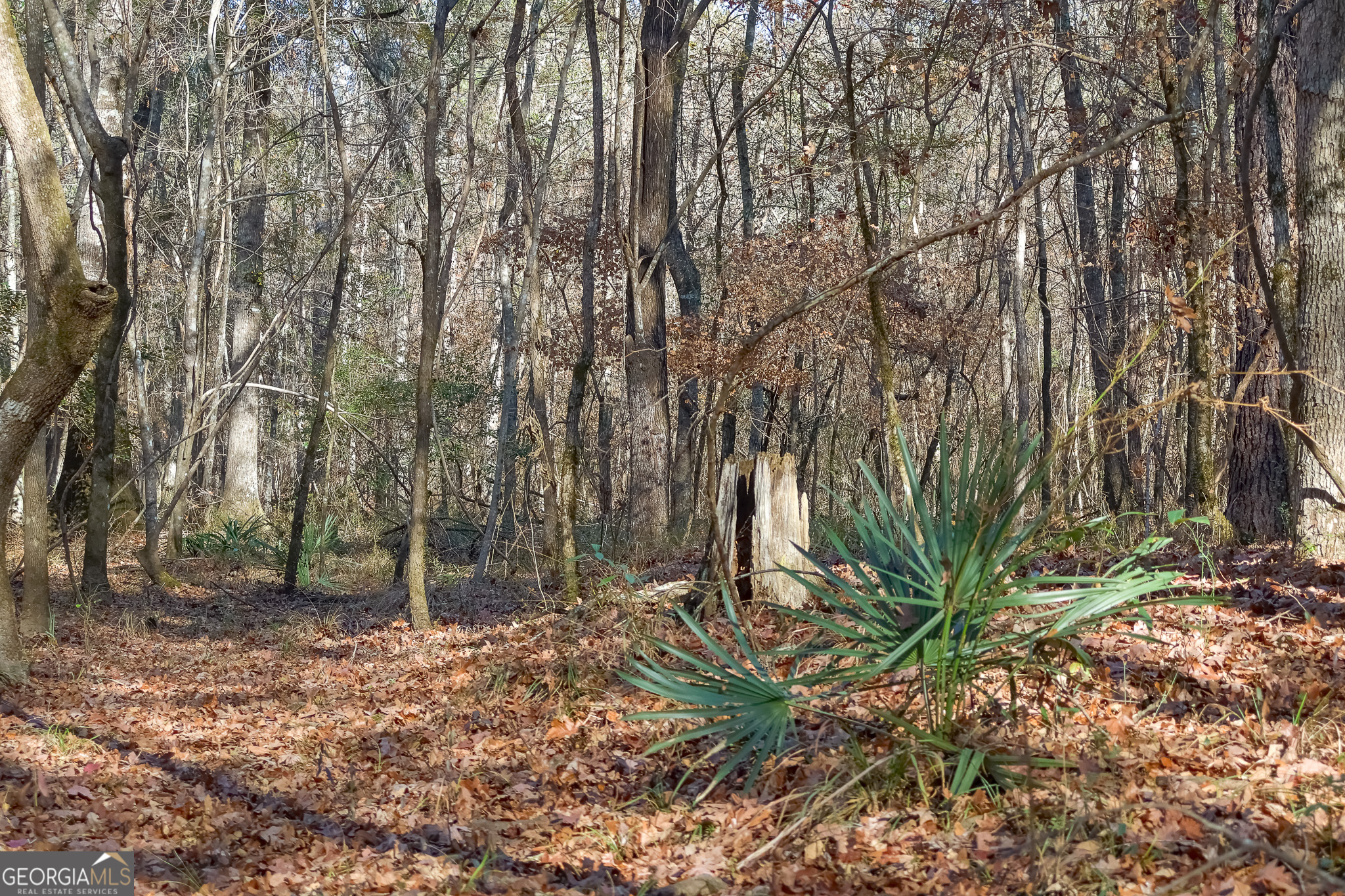 0 Limestone Road Cochran, GA 31014 - Photo 27 of 43 a backyard of a house with lots of green space