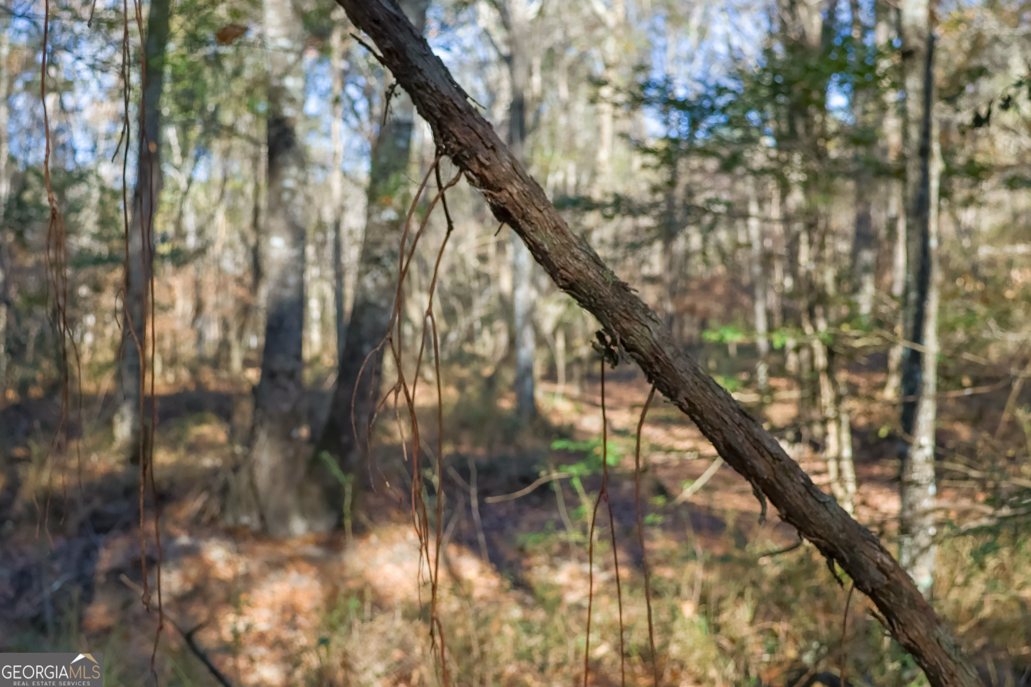 0 Limestone Road Cochran, GA 31014 - Photo 29 of 43