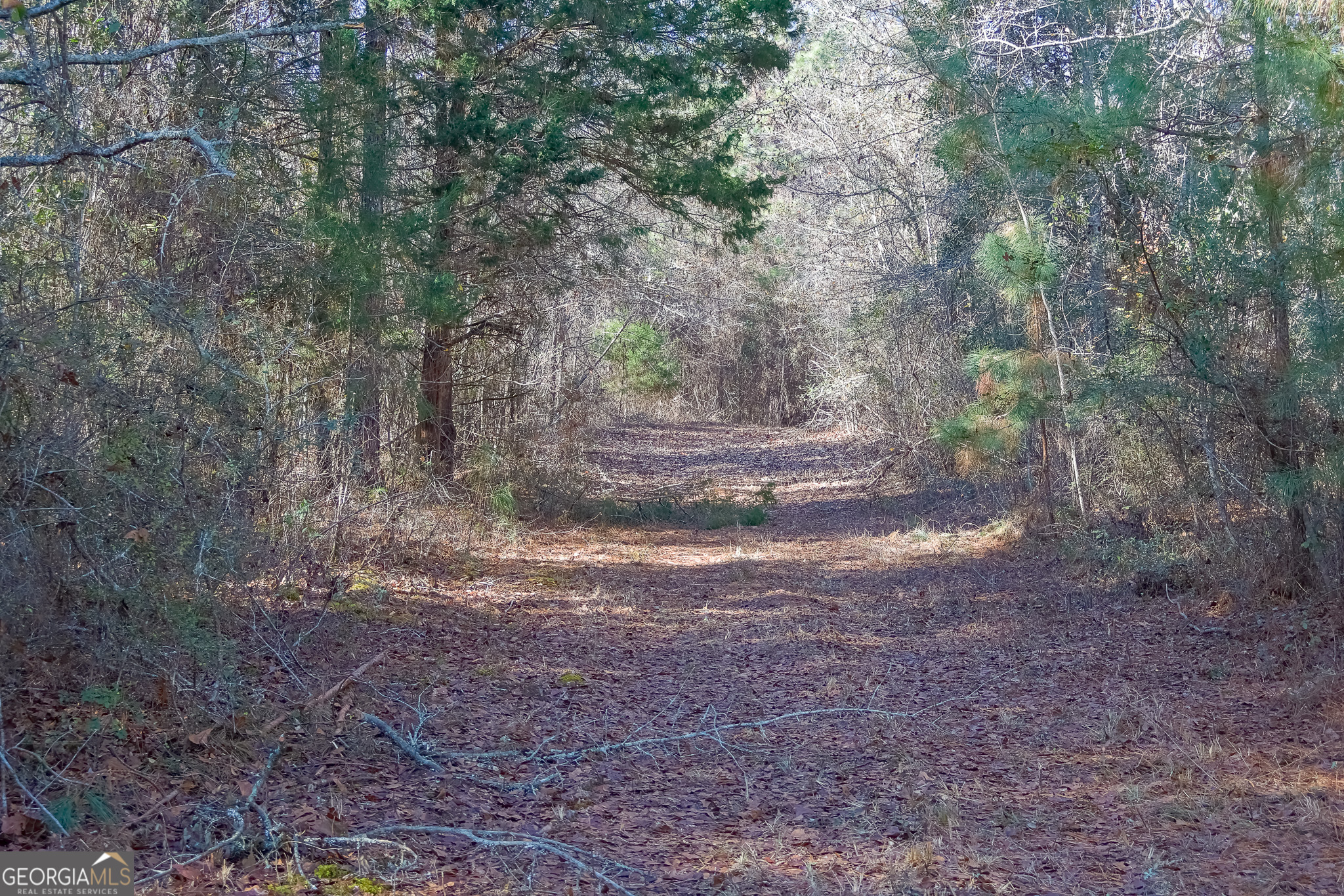 0 Limestone Road Cochran, GA 31014 - Photo 30 of 43 a view of a yard with large trees