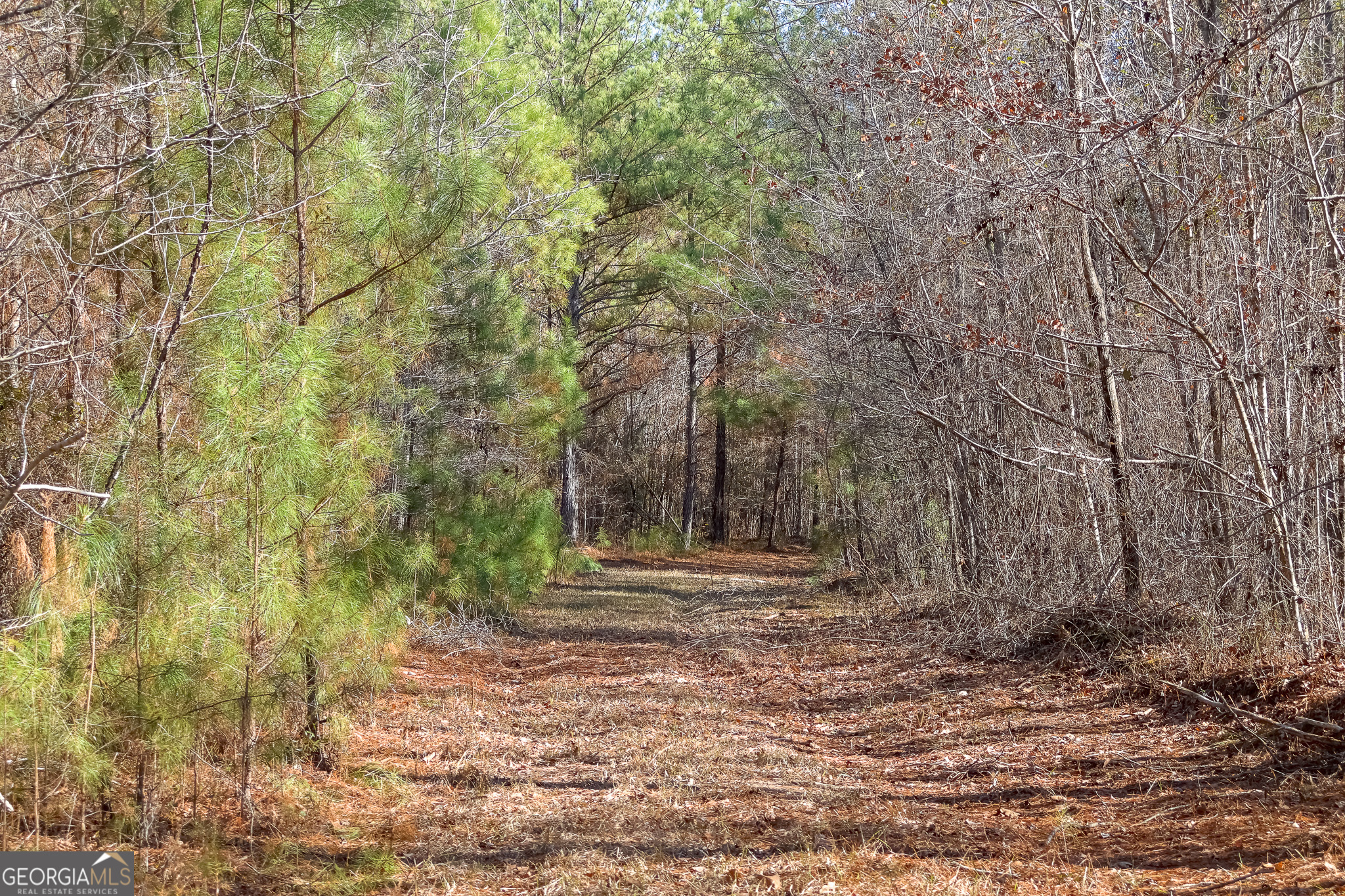 0 Limestone Road Cochran, GA 31014 - Photo 32 of 43 a view of outdoor space with trees