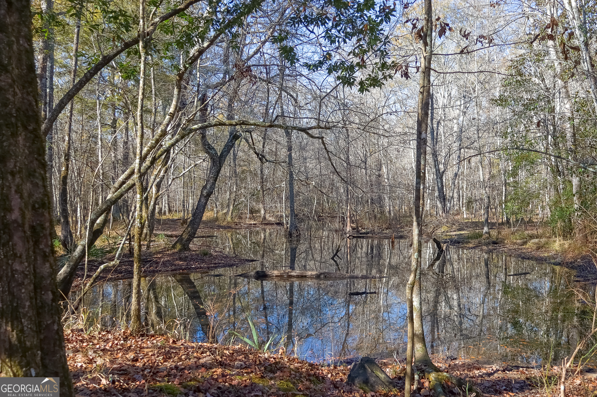 0 Limestone Road Cochran, GA 31014 - Photo 33 of 43 a backyard of a house with lots of green space