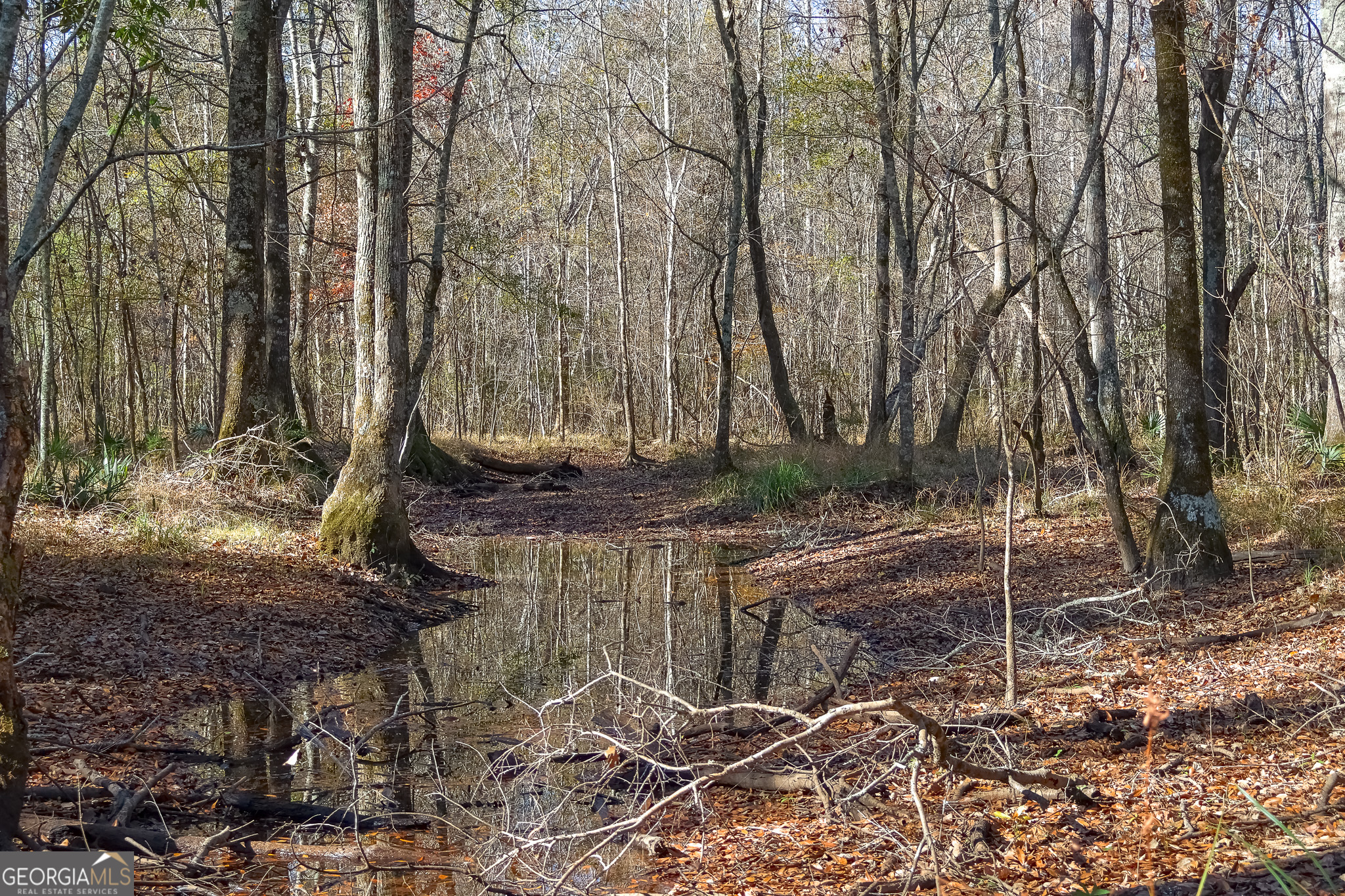 0 Limestone Road Cochran, GA 31014 - Photo 35 of 43 a backyard of a house with lots of green space