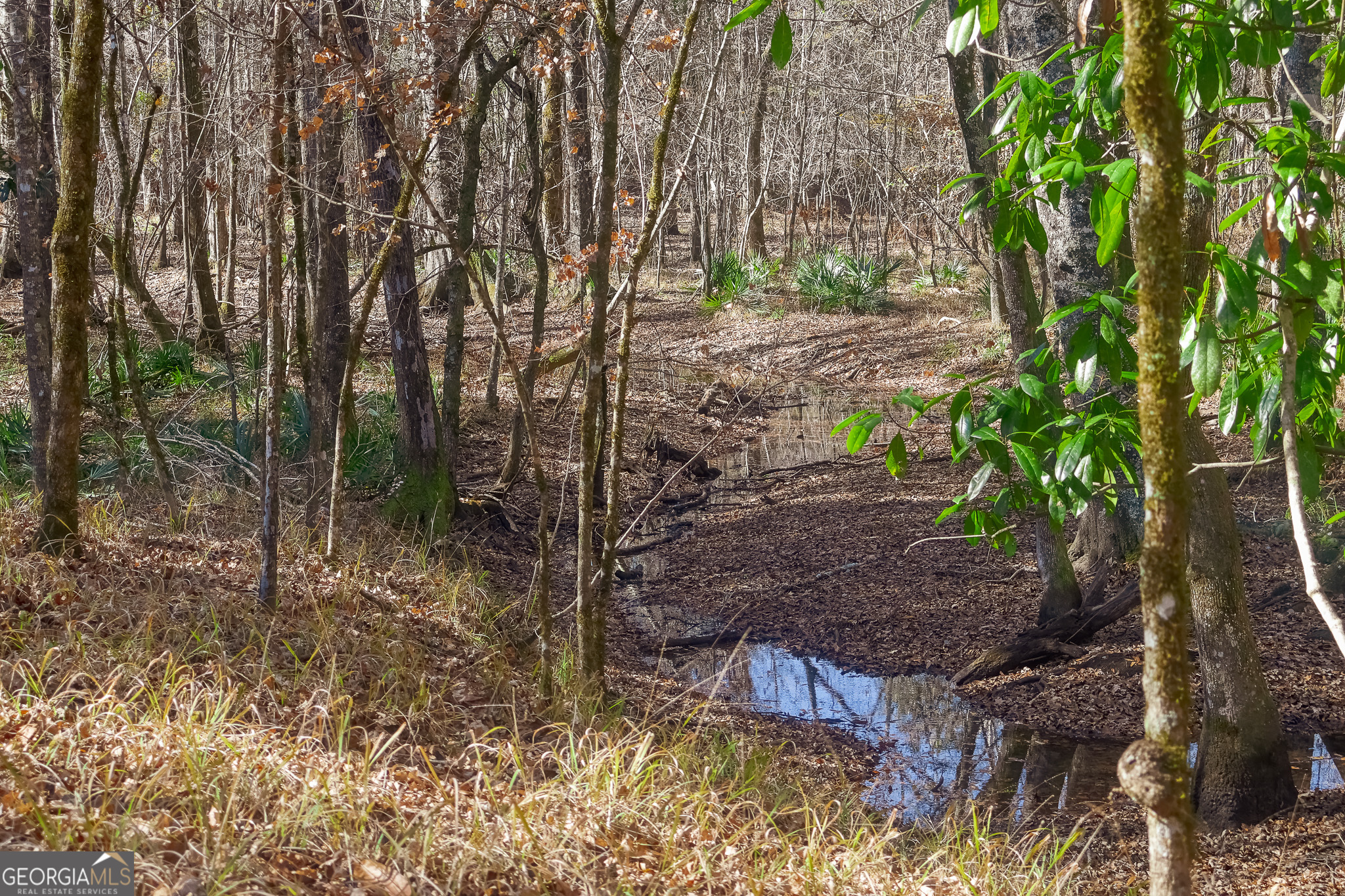 0 Limestone Road Cochran, GA 31014 - Photo 36 of 43 a backyard of a house with lots of green space