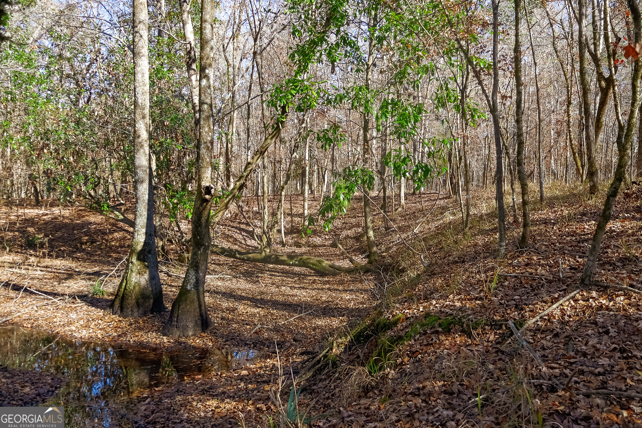 0 Limestone Road Cochran, GA 31014 - Photo 37 of 43 a view of yard