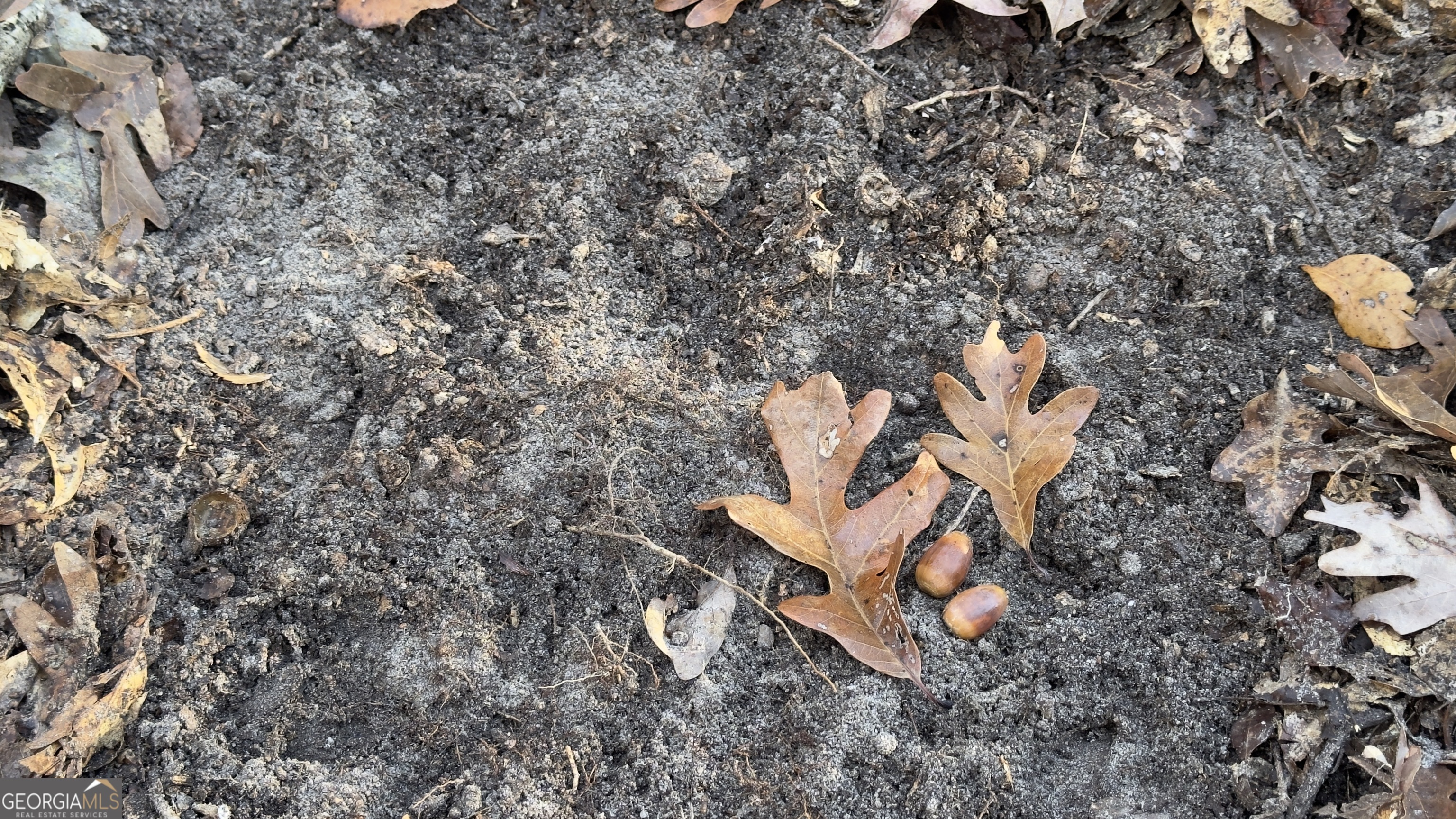 0 Limestone Road Cochran, GA 31014 - Photo 6 of 43 an aerial view of a backyard with table and chairs