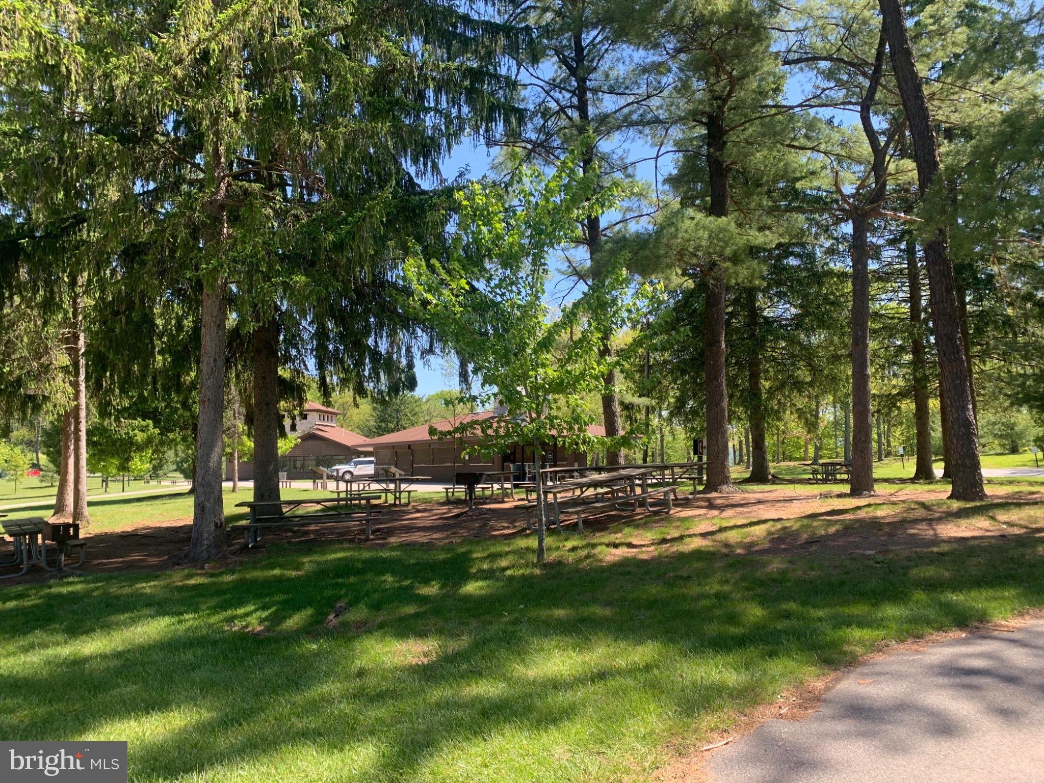 5547 Fox Road Fort Loudon, PA 17224 - Photo 25 of 27 Serene park retreat under tall pines.