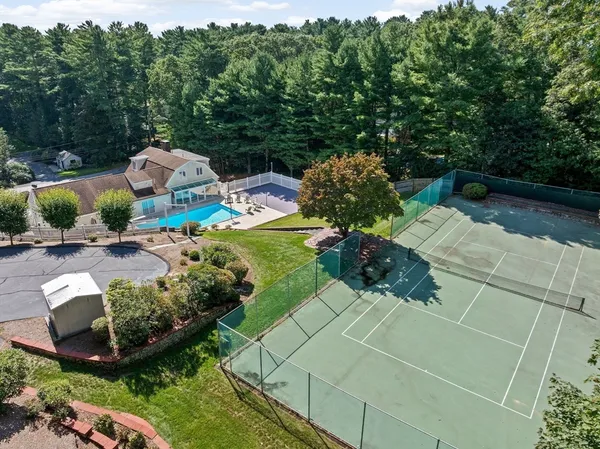 a view of a garden with plants and large trees