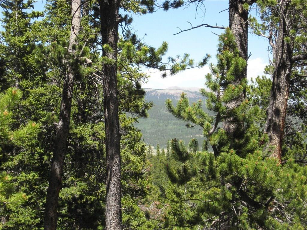 Tbd Royce Road Fairplay, CO 80440 - Photo 11 of 16 Gallery Image 11