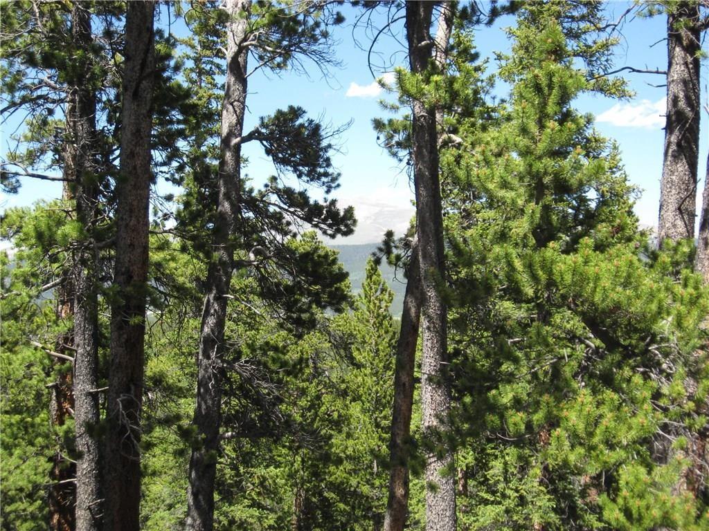 Tbd Royce Road Fairplay, CO 80440 - Photo 12 of 16 Gallery Image 12