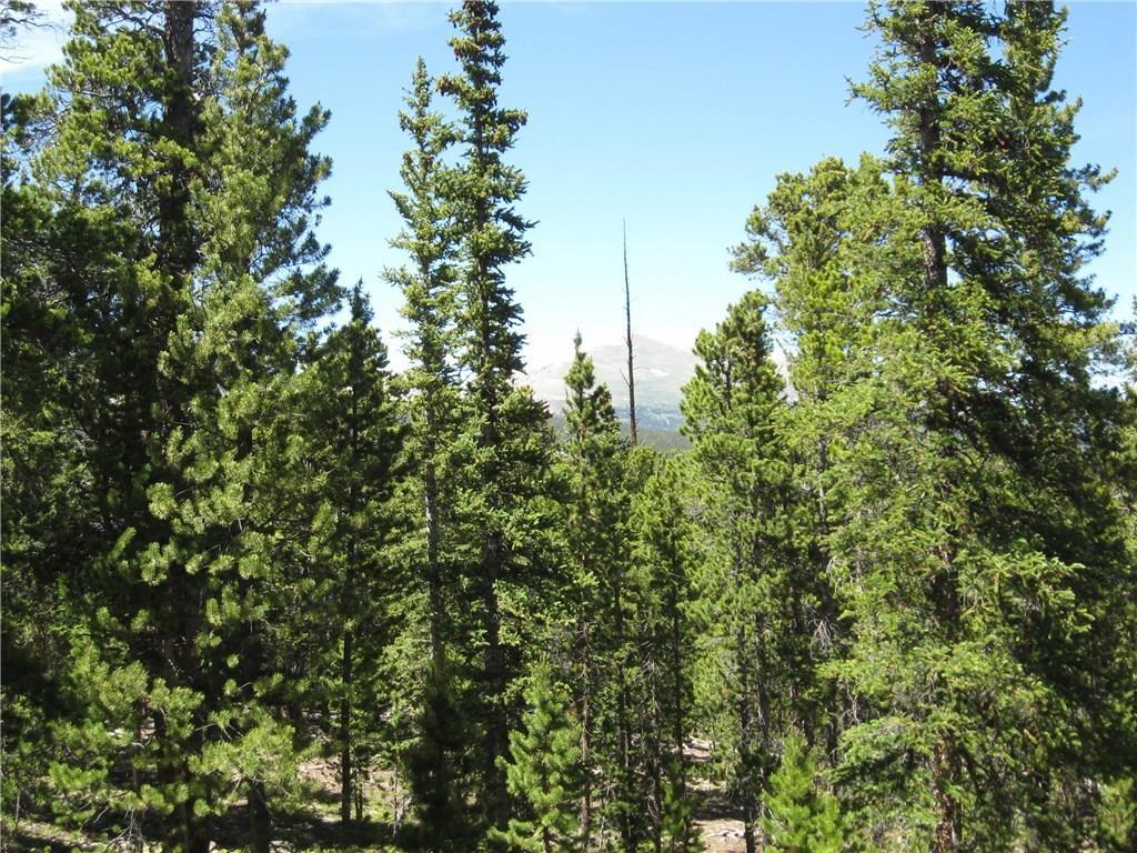 Tbd Royce Road Fairplay, CO 80440 - Photo 14 of 16 Gallery Image 14